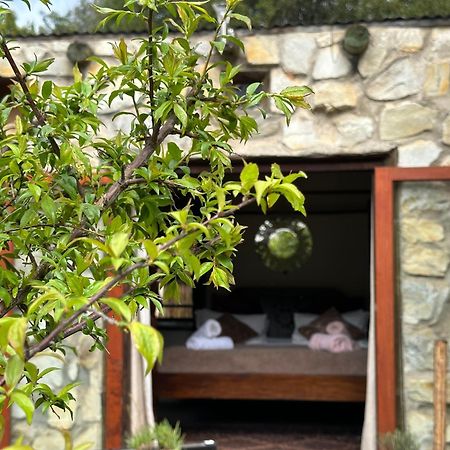 Stormsriver Backpackers Dijembe Стормсривер Экстерьер фото